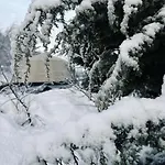 Torshaug Glamping