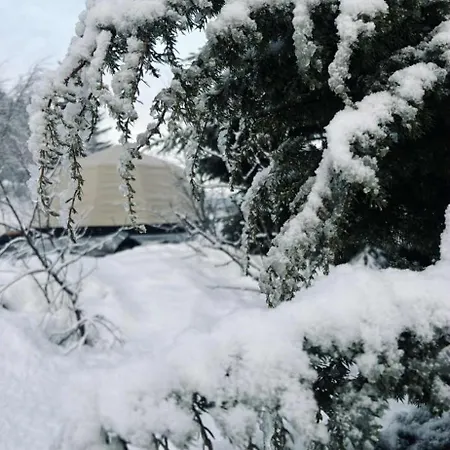 Torshaug Glamping