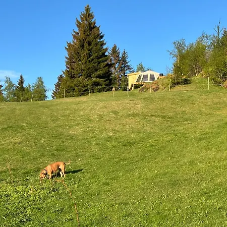 Torshaug Glamping *
