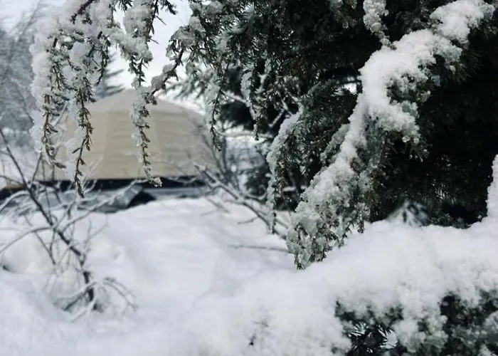 Torshaug Glamping